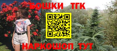 гидропоника Гагарин
