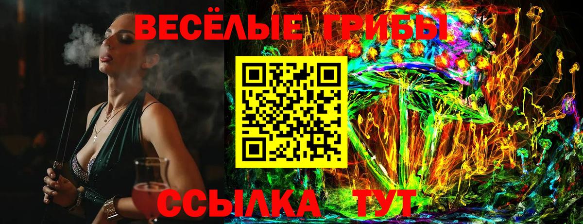 Псилоцибиновые грибы Cubensis Мурино