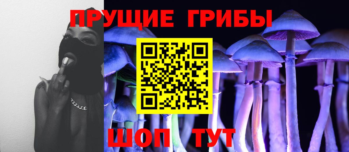 Мурино  Псилоцибиновые грибы прущие грибы  Галлюциногенные грибы Psilocybe  Вход с VPN 